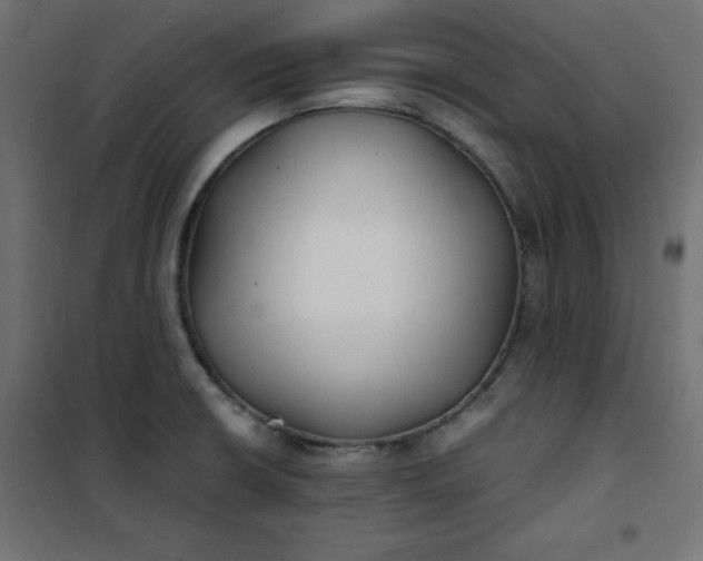 X0000100851426200807070922