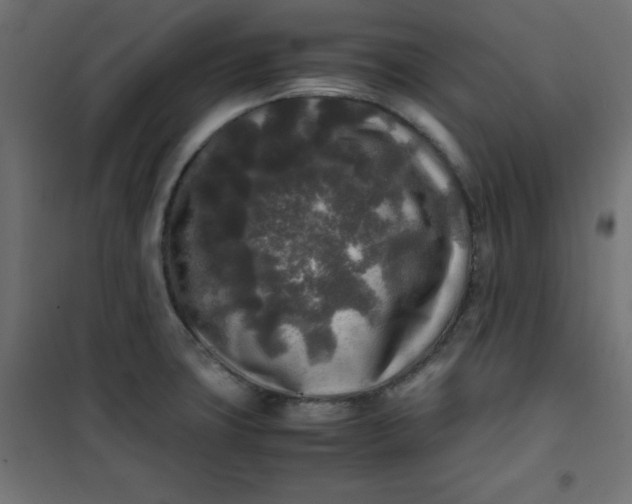 X0000100851427200807070922