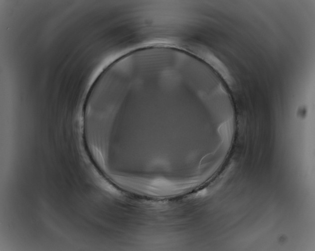 X0000100851428200807070922