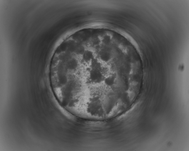 X0000100851429200807070922