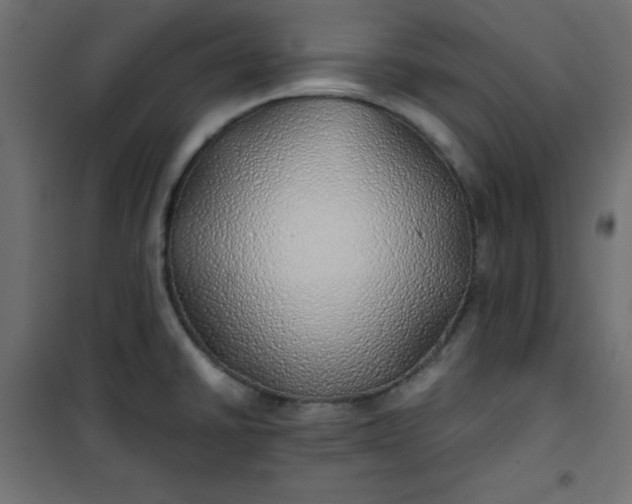 X0000100851430200807070922