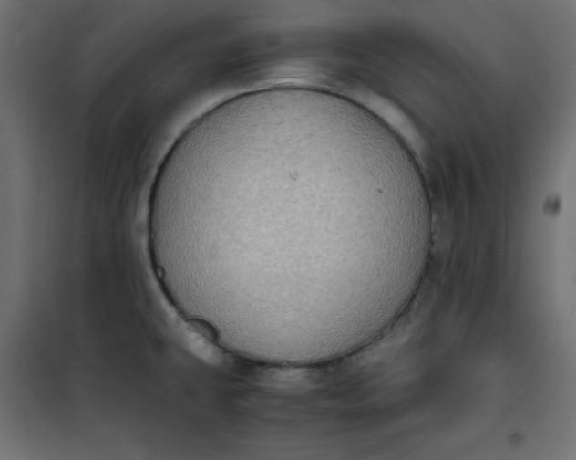 X0000100851431200807070922