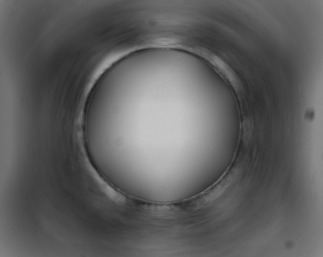 X0000100851432200807070922