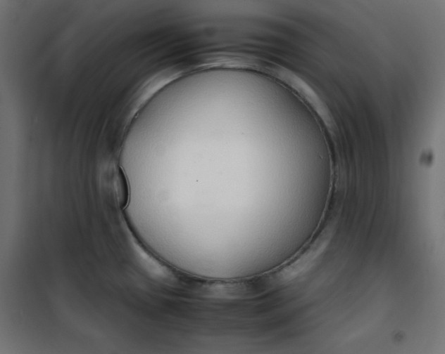 X0000100851433200807070922