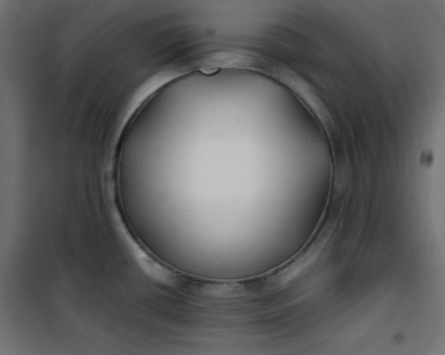 X0000100851434200807070922