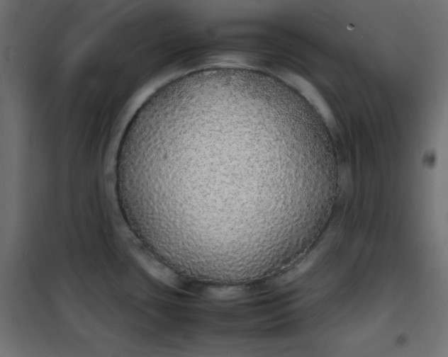 X0000100851435200807070922