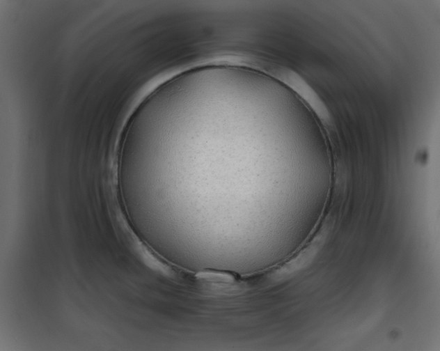 X0000100851436200807070922