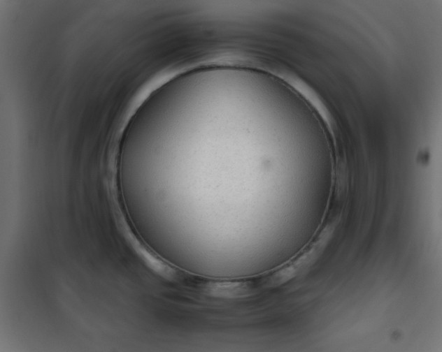 X0000100851437200807070922