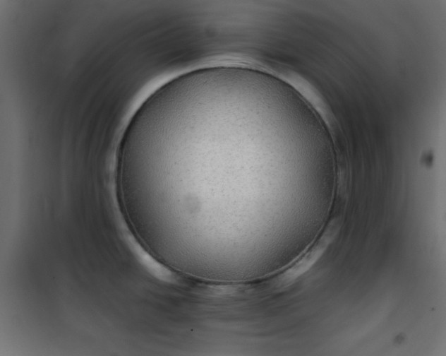 X0000100851438200807070922