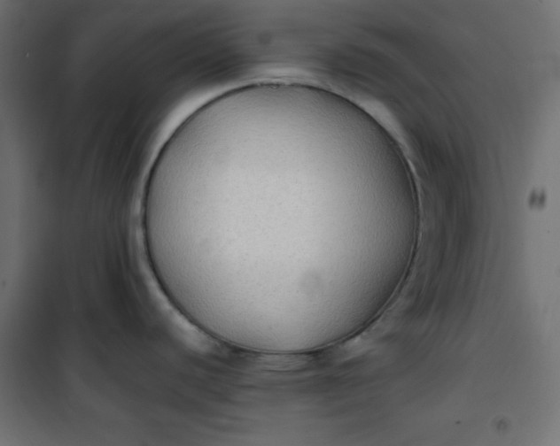 X0000100851440200807070922