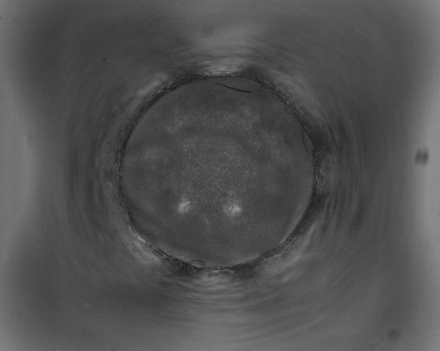 X0000100851441200807070921