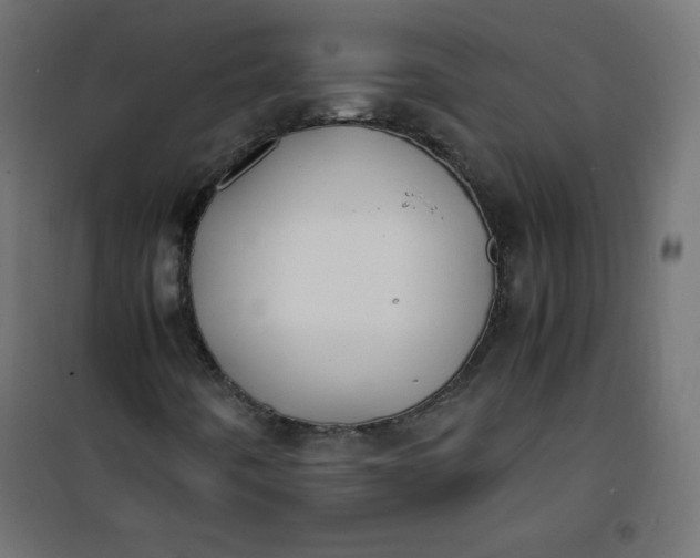 X0000100851442200807070921