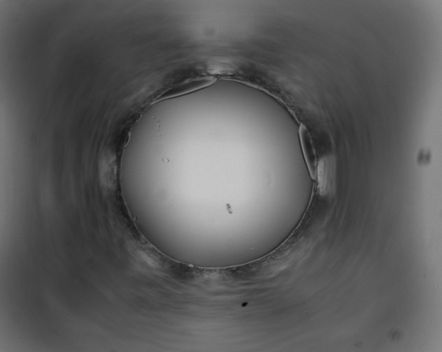 X0000100851443200807070921