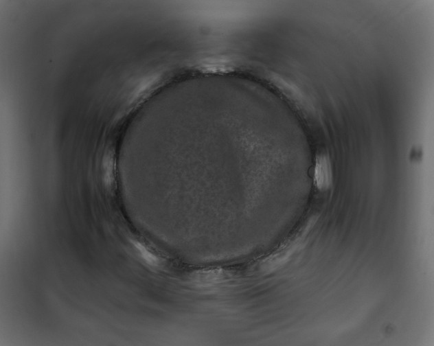 X0000100851444200807070921