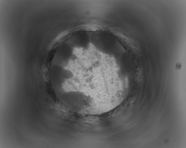 X0000100851446200807070921