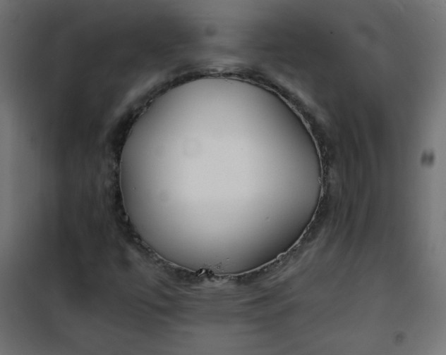 X0000100851447200807070921