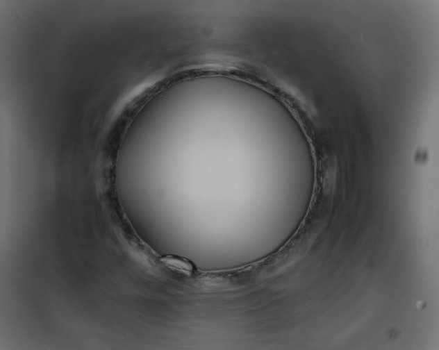 X0000100851448200807070921