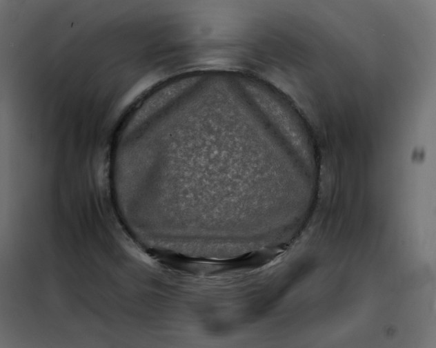 X0000100851450200807070921