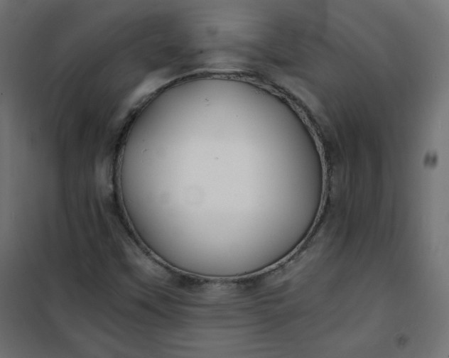 X0000100851451200807070921