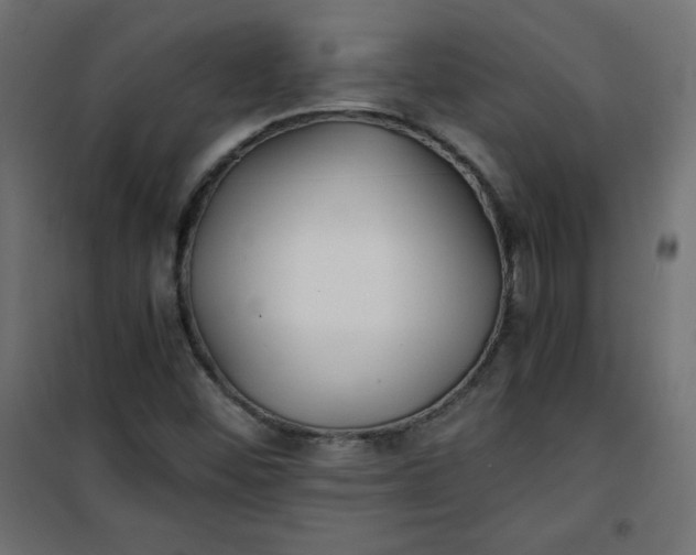 X0000100851452200807070921