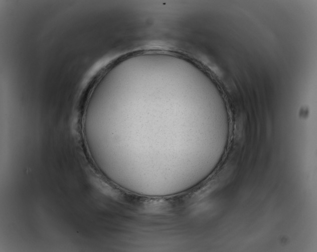 X0000100851454200807070921