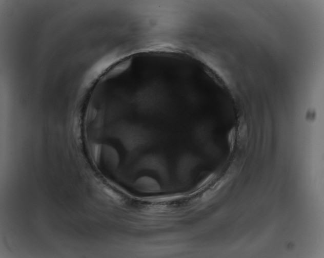 X0000100851455200807070921