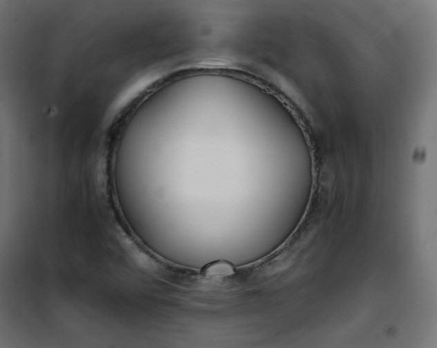 X0000100851456200807070921