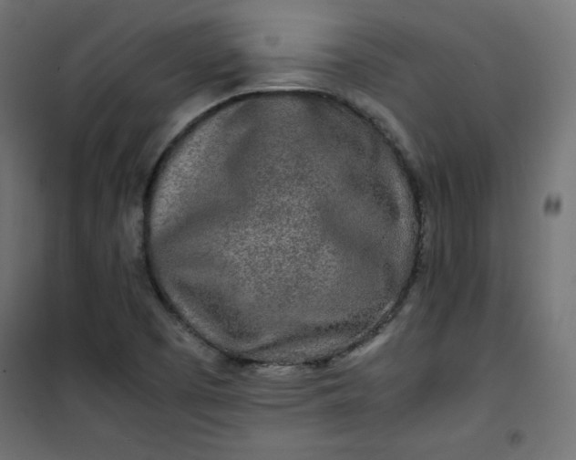 X0000100851457200807070921