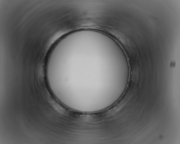 X0000100851458200807070921