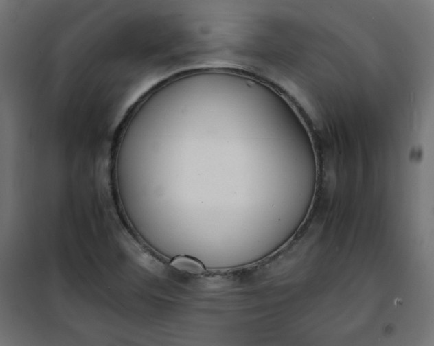 X0000100851460200807070921