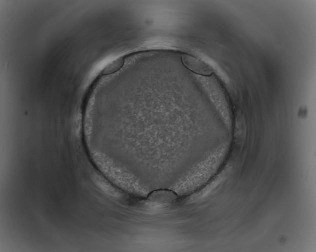 X0000100851461200807070921