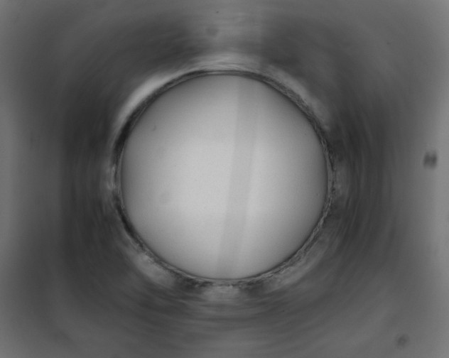 X0000100851462200807070921