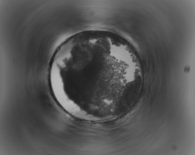 X0000100851463200807070921