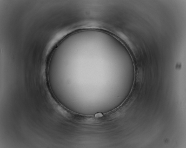 X0000100851464200807070921