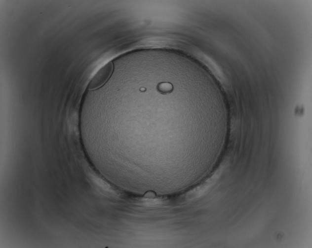 X0000100851465200807070921