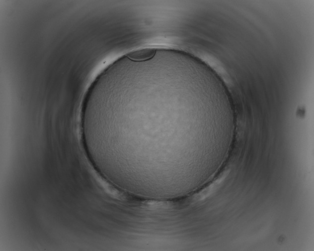 X0000100851469200807070921