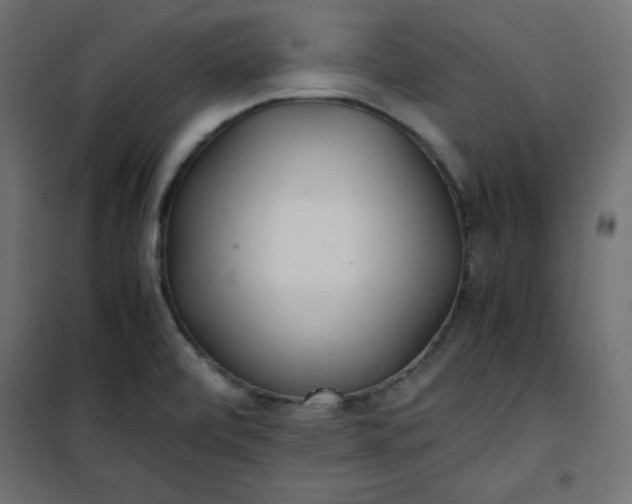 X0000100851472200807070921