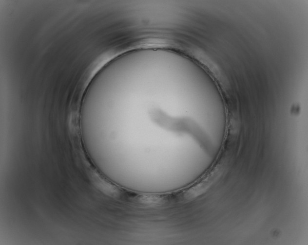 X0000100851473200807070921