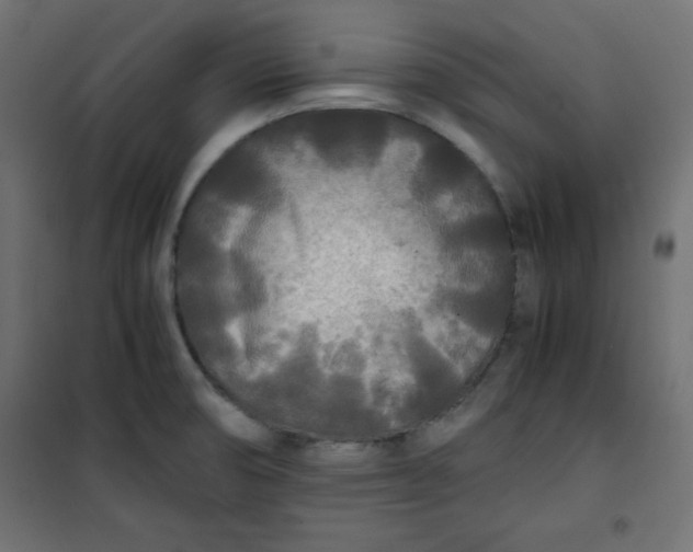 X0000100851474200807070921