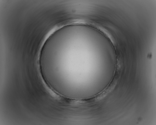 X0000100851475200807070921