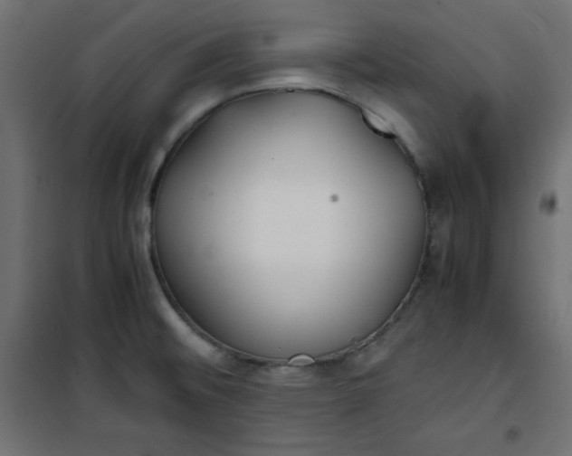 X0000100851476200807070921