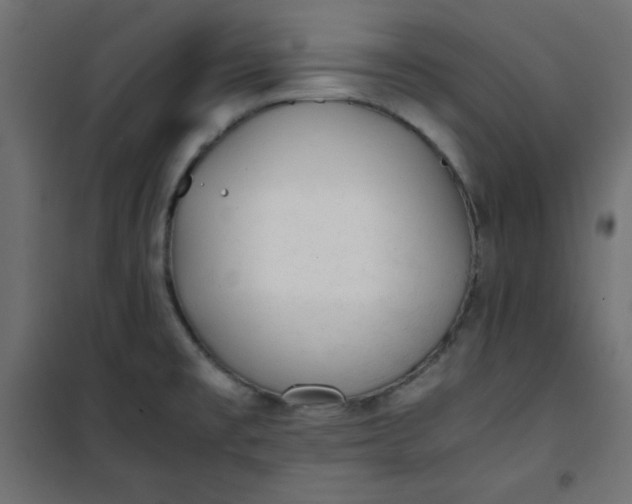 X0000100851477200807070921