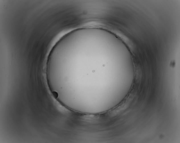 X0000100851478200807070921