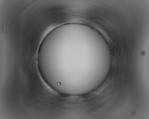 X0000100851479200807070921