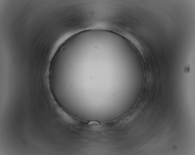 X0000100851480200807070921