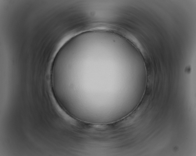 X0000100851483200807070921