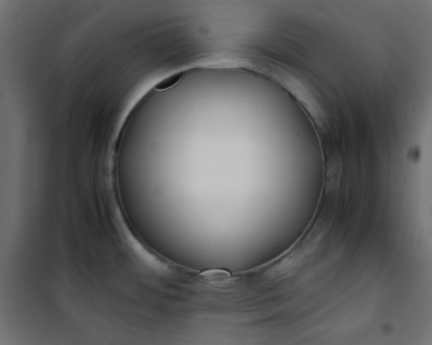 X0000100851484200807070921