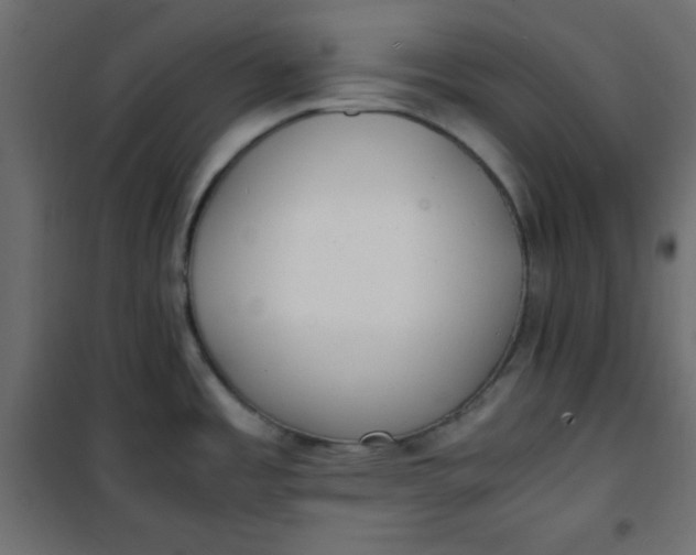 X0000100851485200807070921