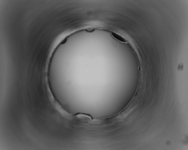 X0000100851488200807070921