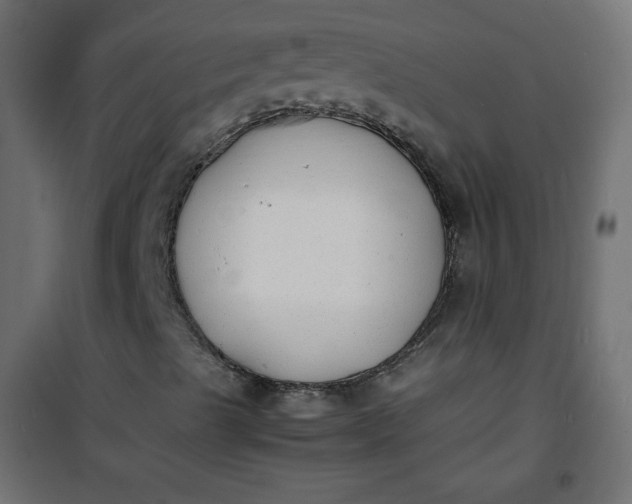 X0000100851489200807070920